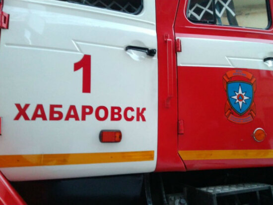     Двое детей спасены из горящего дома в Хабаровске ФОТО: ГУ МЧС России по Хабаровскому краю