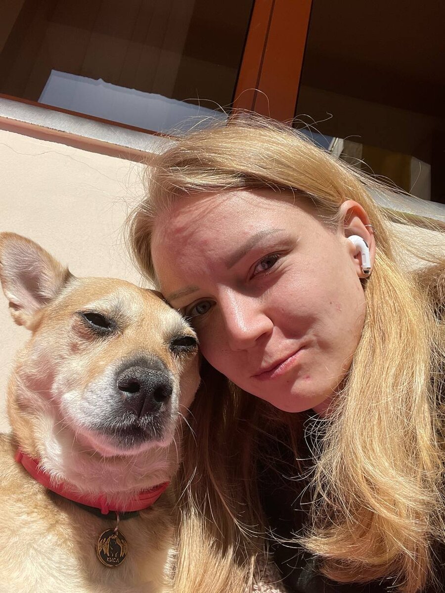 Camper dog. Лагерь для собак. Обогащение среды собак. Эрин дог кемп. Ерин дог кемп московская область.