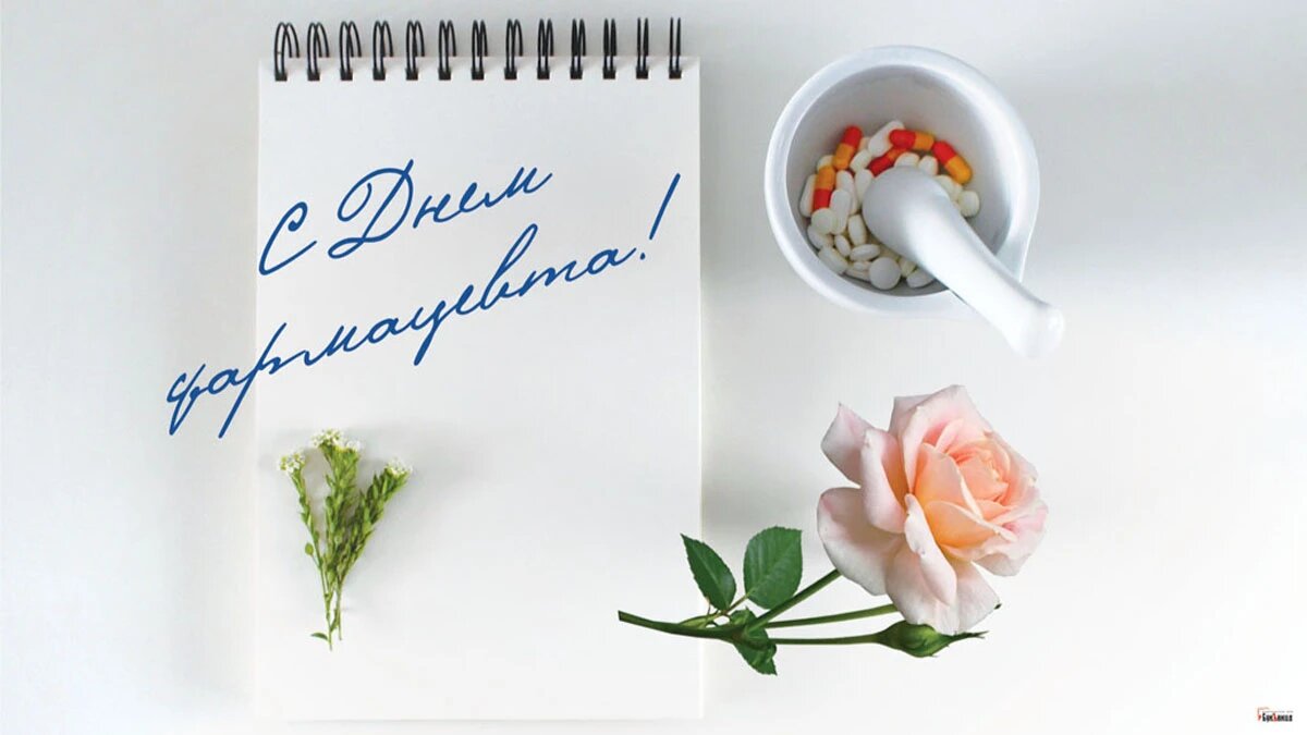 День фармацевта. Иллюстрация: «Курьер.Среда»