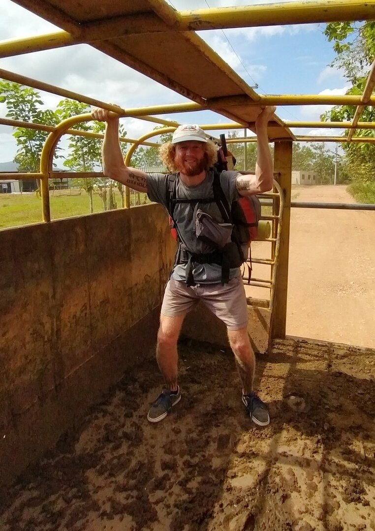 Едем прямо в навозе