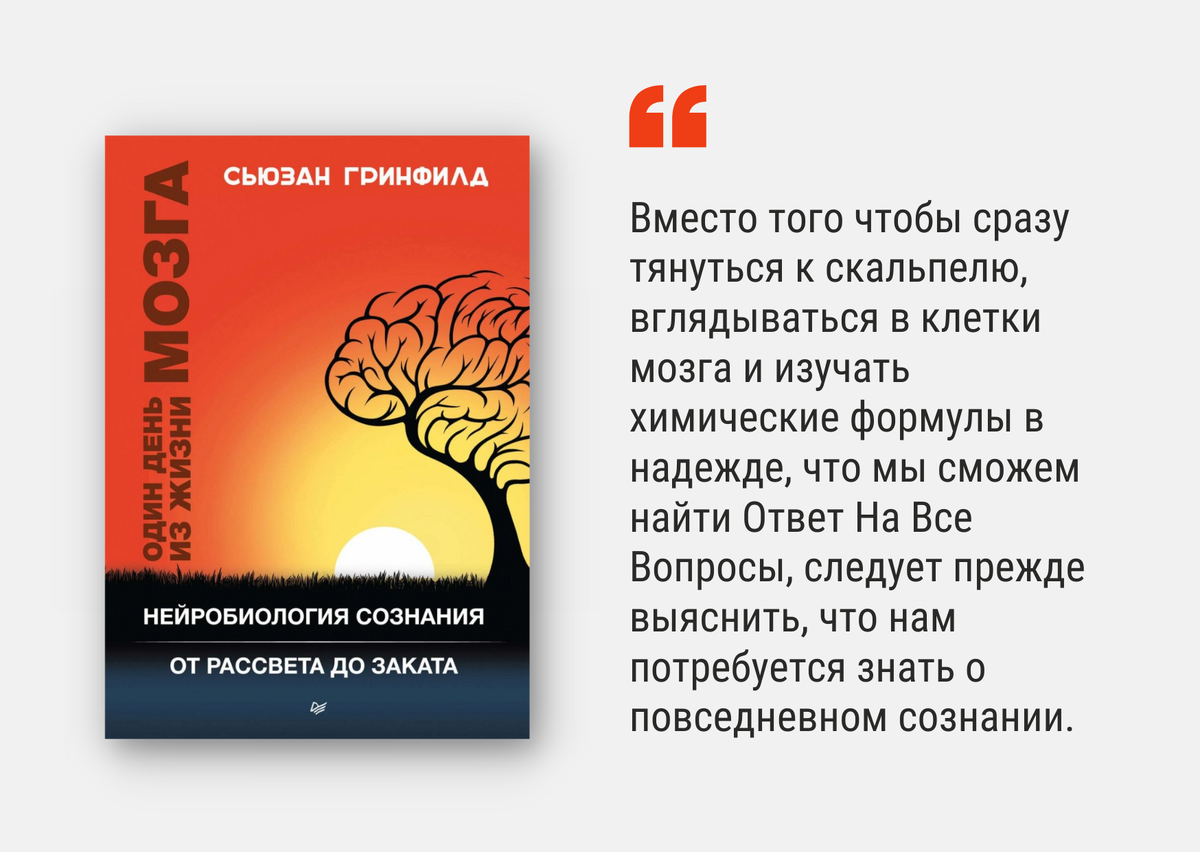 Крис Фрит: «Мозг и душа. Как нервная деятельность формирует наш внутренний мир». Рецензия