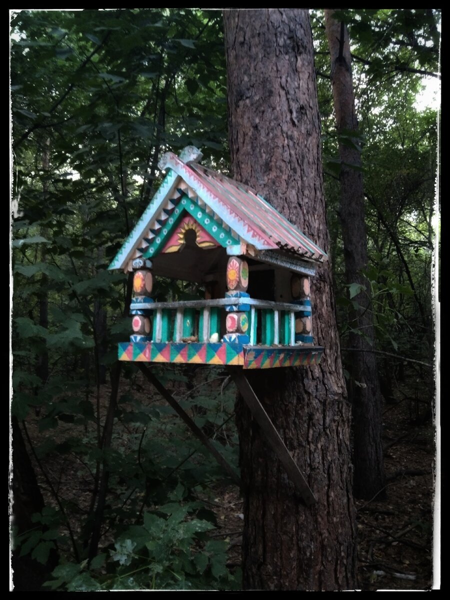 Прилетели, поклевали в кормушке, пошумели, спели песенку, нагадили чуток и улетели. 