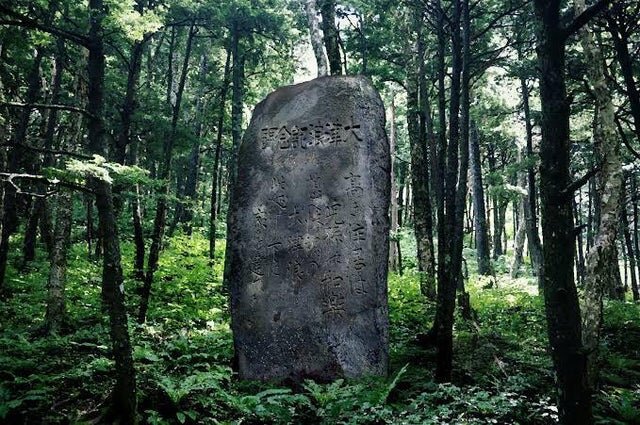 Камни цунами