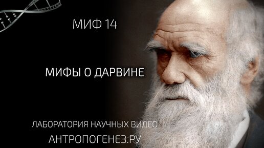 Дарвин отрёкся от своих идей? Он никогда не утверждал, что наш предок обезьяна? - Мифы о Дарвине