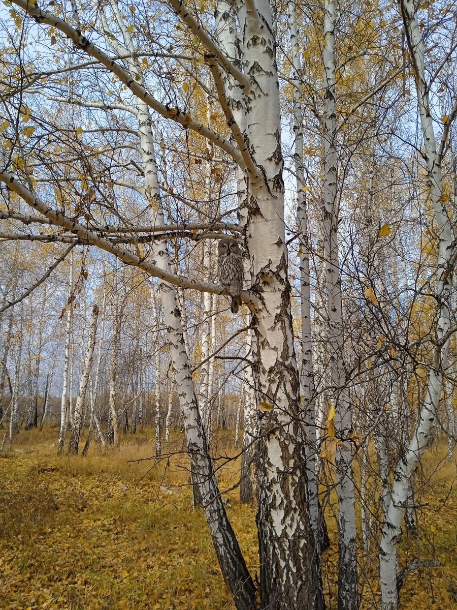   * Сегодня убил человека - Сказал как бы  п р а в д у  о нём. Он лишь улыбнулся на это - Обнял меня крепко потом.