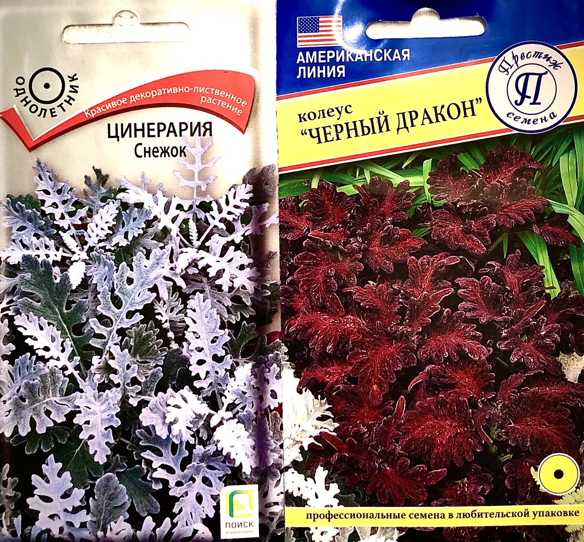Правильный ответ