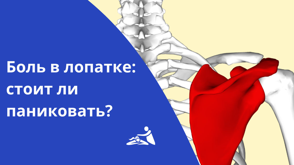 Боль в лопатке: стоит ли паниковать? | Школа мастеров массажа | СПБ/МСК |  Дзен