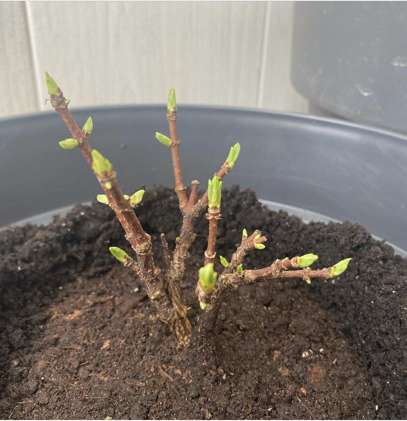 13 апреля 2022