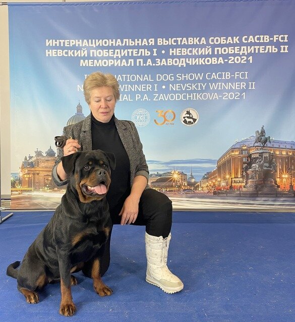 На фото Елена Кузьмина – заводчик питомника ротвейлеров "Акслен".