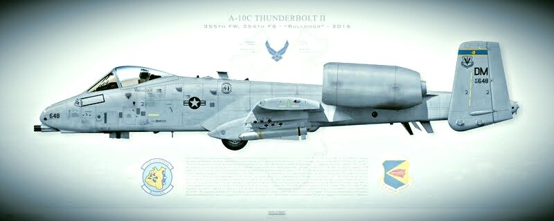 Fairchild Republic A-10 "Thunderbolt II"