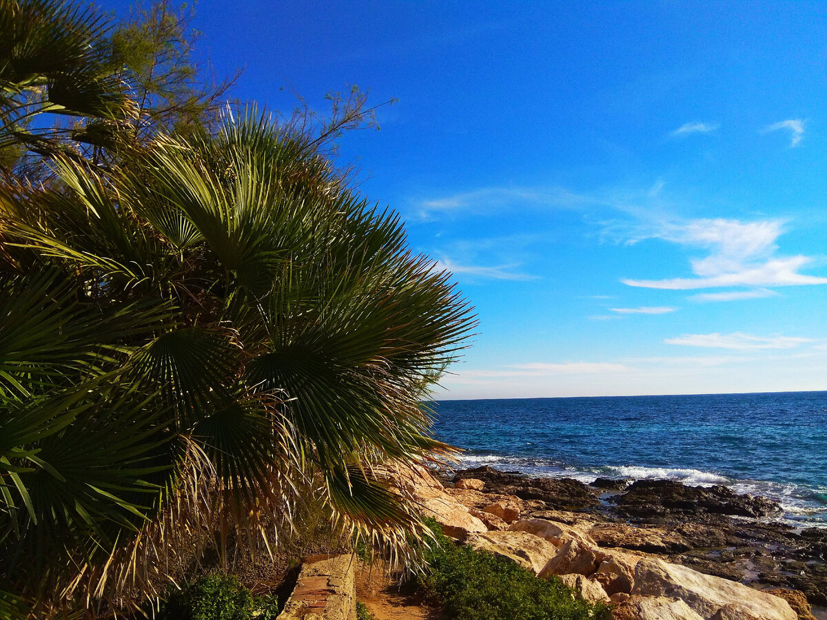 Испания, набережная г. Торревьеха