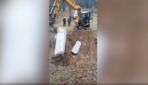    Фото: Социальные сети Юлия Карягина
