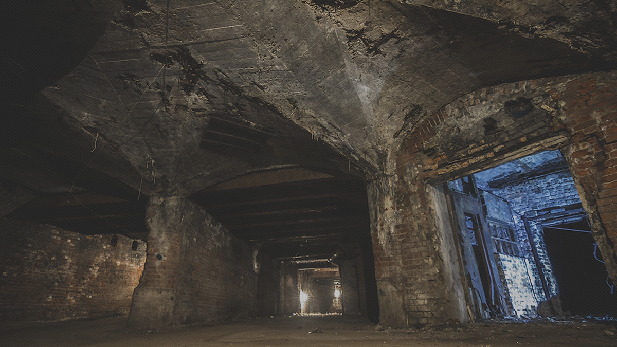 FLATFLIXXX [Подземный город под Москвой]