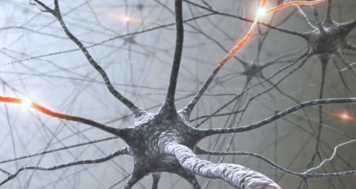 Источник изображения: http://pro-audiologia.ru/