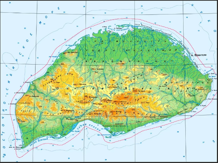 Снимок из интернета.