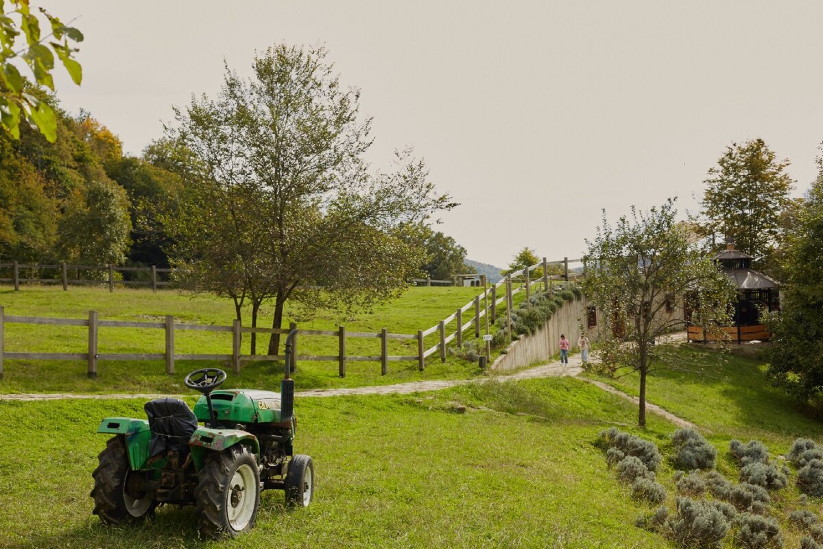 Сотни фото и видео доказывают - "Ферма "Экзархо" действительно занимается сельским хозяйством и агротуризмом.