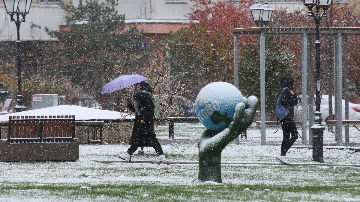    Прохожие во время снегопада в Москве© РИА Новости / Виталий Белоусов