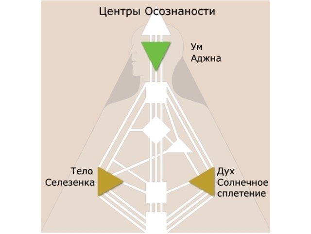 Проектов дизайн человека