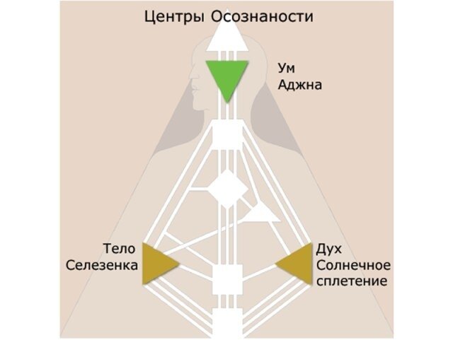 Дизайн человека схема