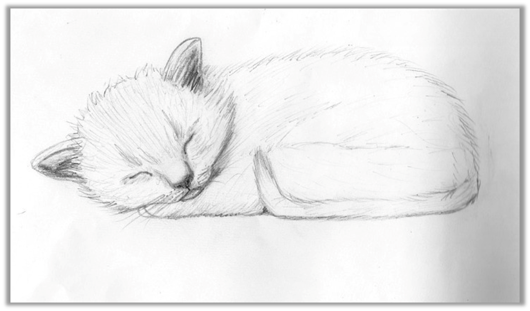 Котенок рисунок карандашом поэтапно - 52 фото