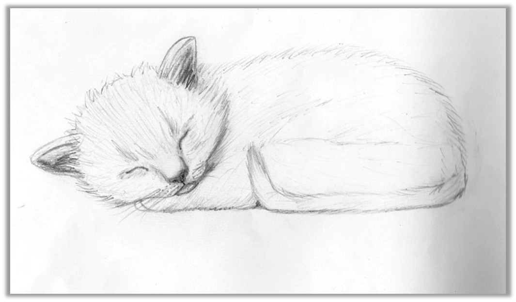 Коты карандашом для начинающих. Рисунки котов для срисовки. Рисунки котов карандашом для срисовки. Котёнок рисунок карандашом. Кошка рисунок карандашом.
