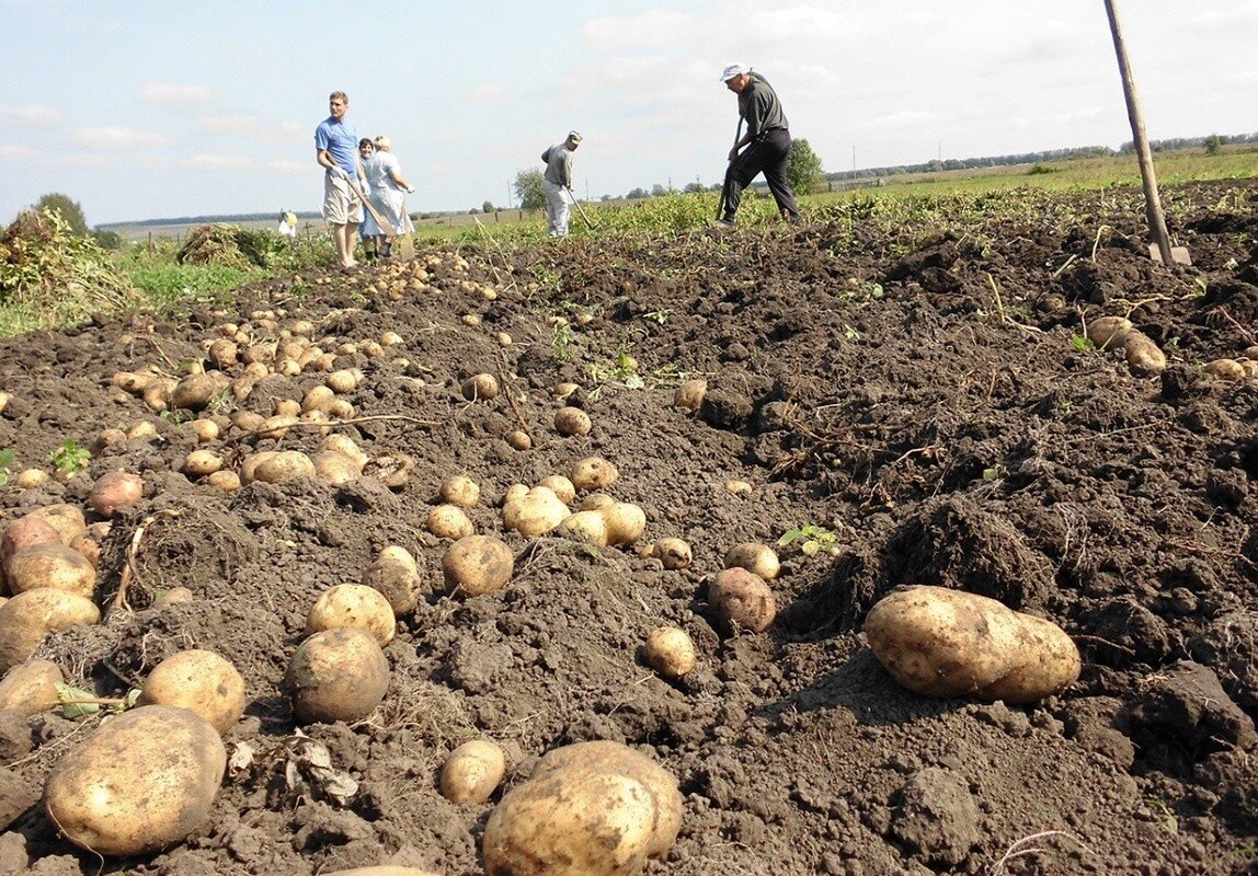 Все изображения из открытых источников.