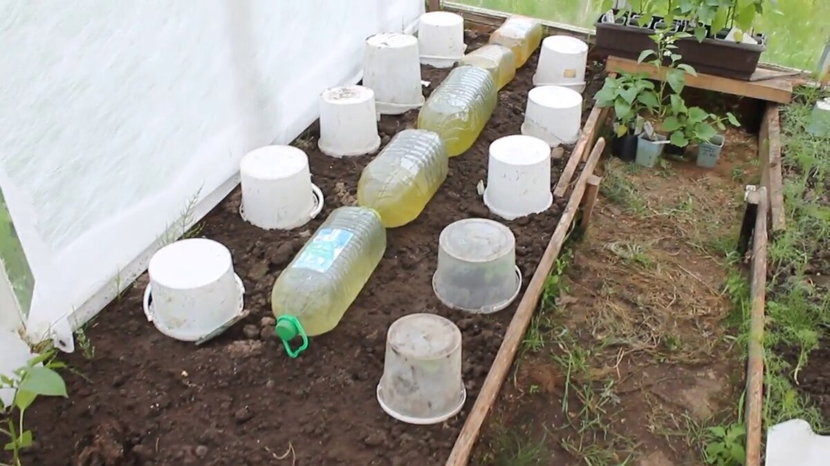 Майл. Картинки