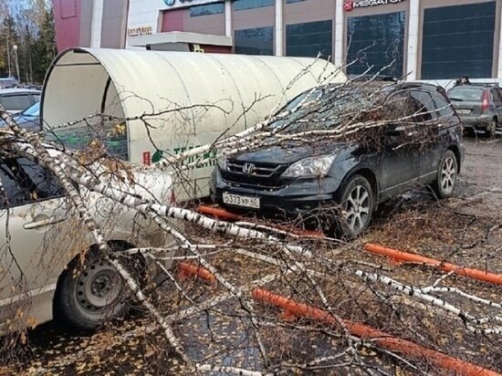     Фото: Татьяны Леоновой