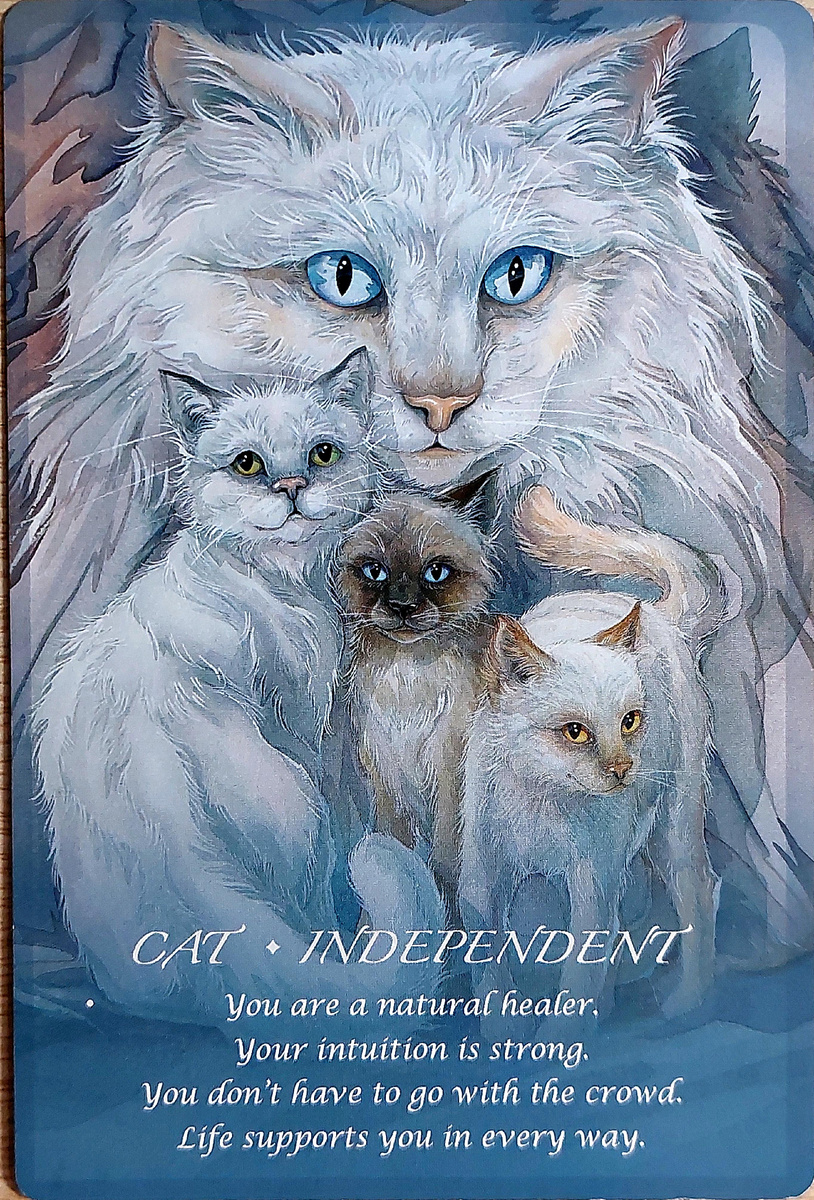 Колода: "Spirit of the Animals Oracle" by Jody Bergsma