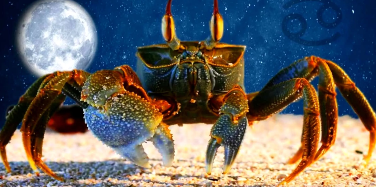 Яндекс картинки