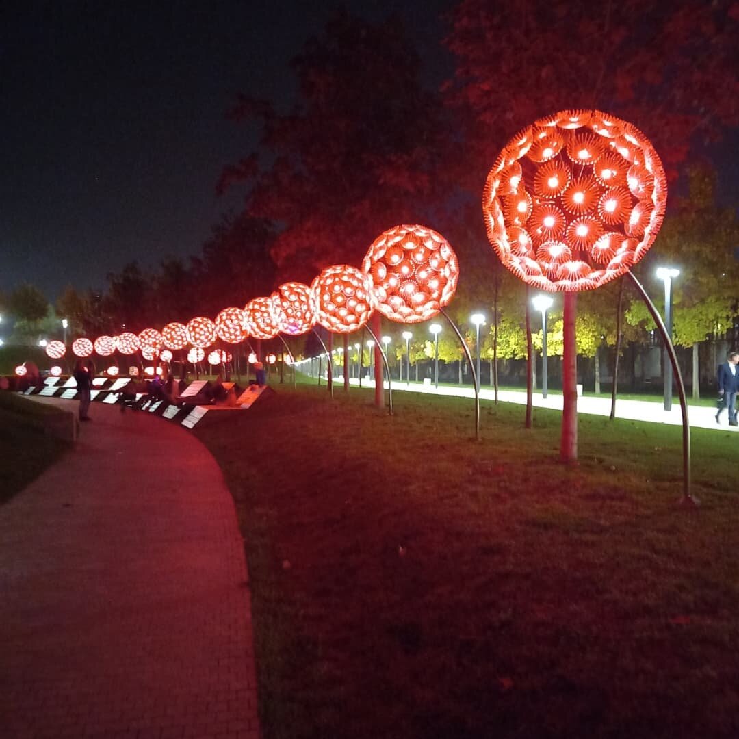 Светящиеся одуванчики