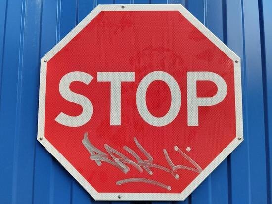     Фото: МК на Дону