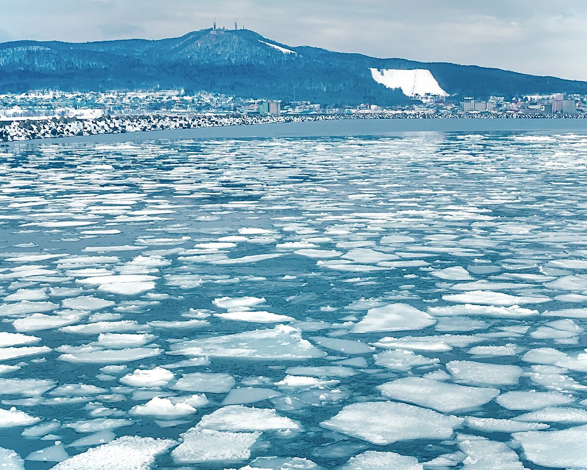 Изображение по лицензии stock.adobe.com