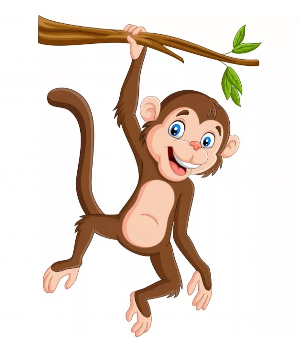 Картинка взята из интернета 