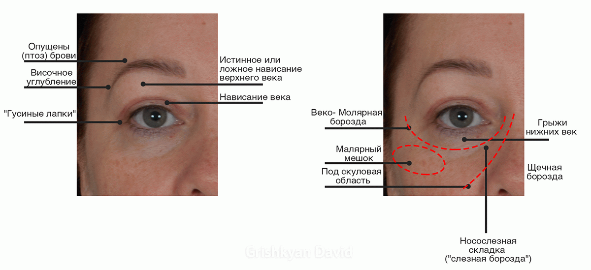 Как мы чувствуем старение и можно ли его замедлить?