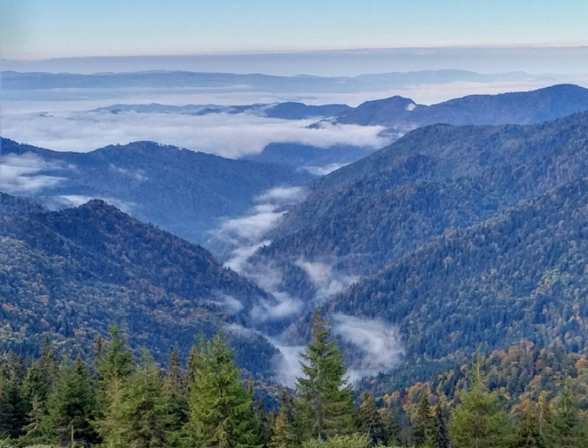 Источник unsplash.com. Фото тумана, потому что какое будущее, такое и фото