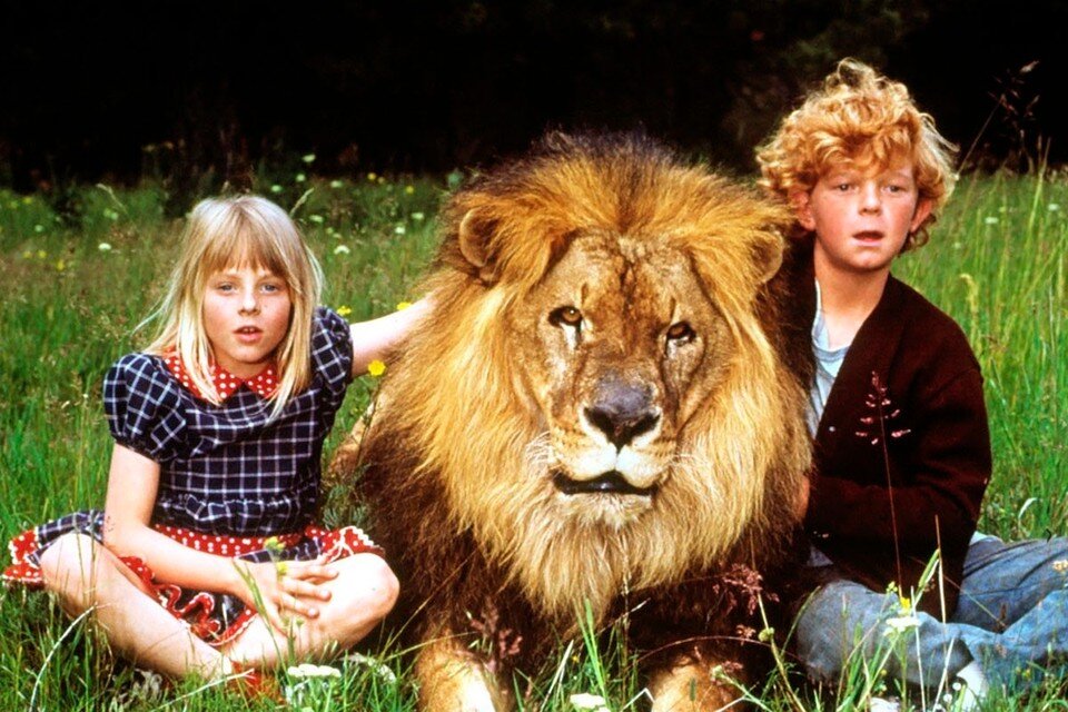     Фильм «Наполеон и Саманта».  кадр из фильма