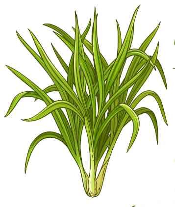 Через DepositPhotos