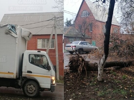     Фото: Соцсети