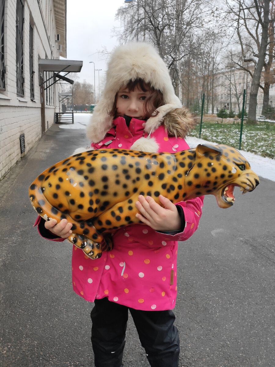 Фото автора. Наш спасенный гупард или леопард
