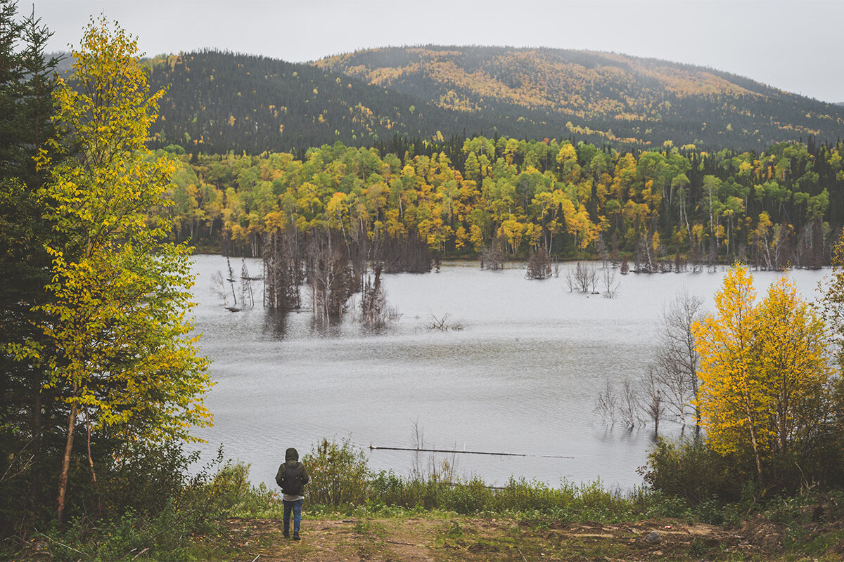    Фото: Stephen Andrews/Unsplash