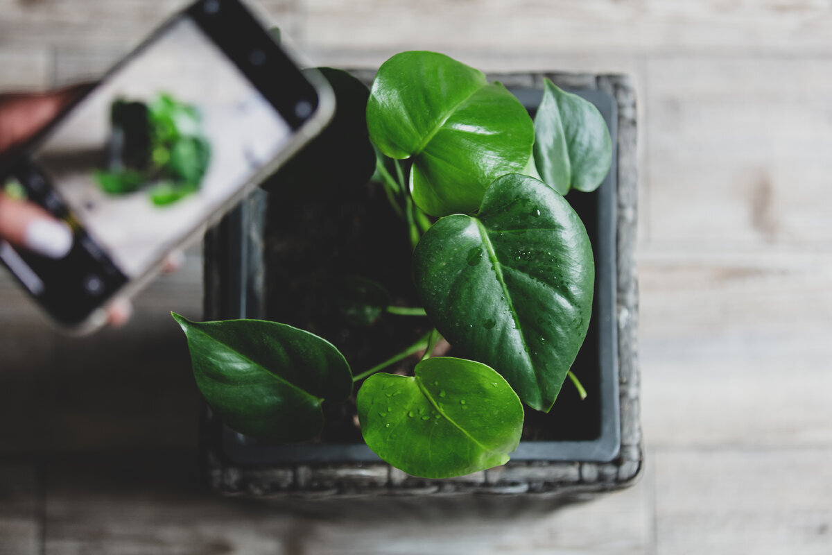 Выбираем зарядку на айфон 14