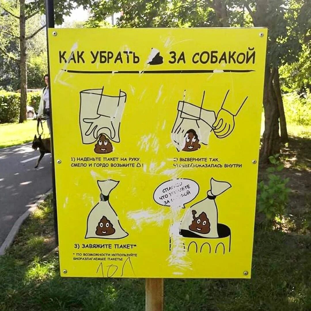 убери за собакой картинки