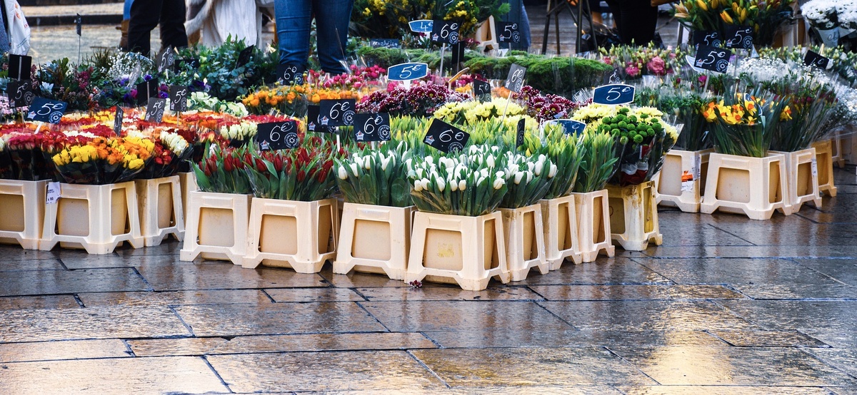 Фото взято из открытого источника.