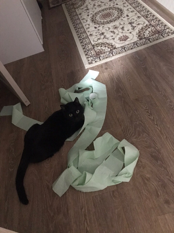 Пока мама на работе 