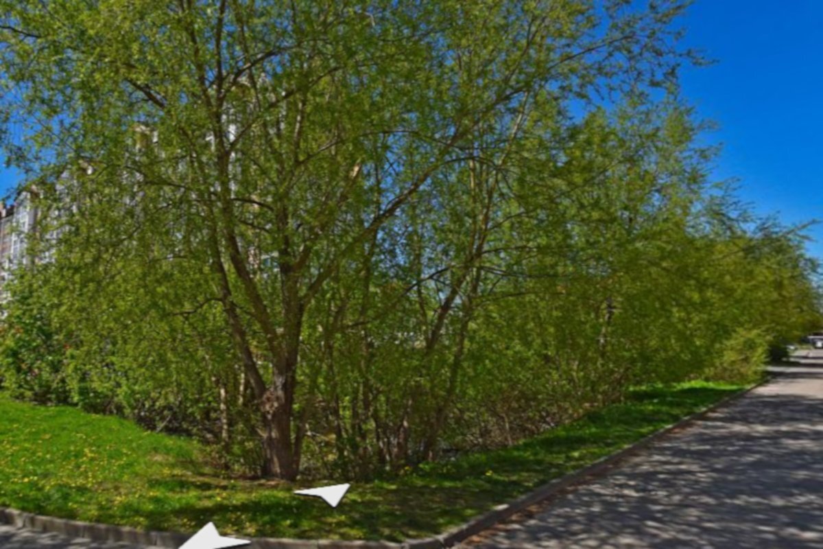 Фото: Яндекс.карты