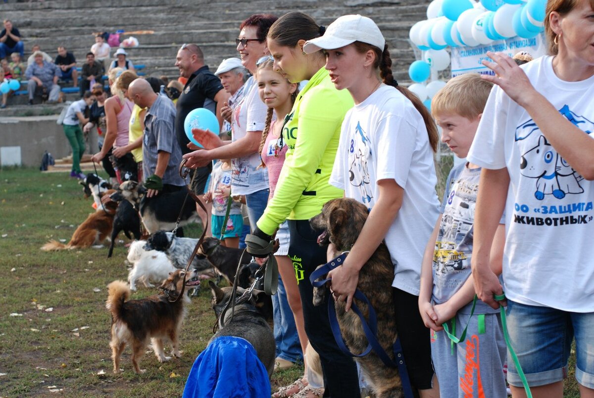 Я на одном из мероприятий по защите животных.  Где у каждой дворняжки есть такие родинки😀. Только у кого-то они более заметны, у кого-то менее (надо искать и вглядываться)