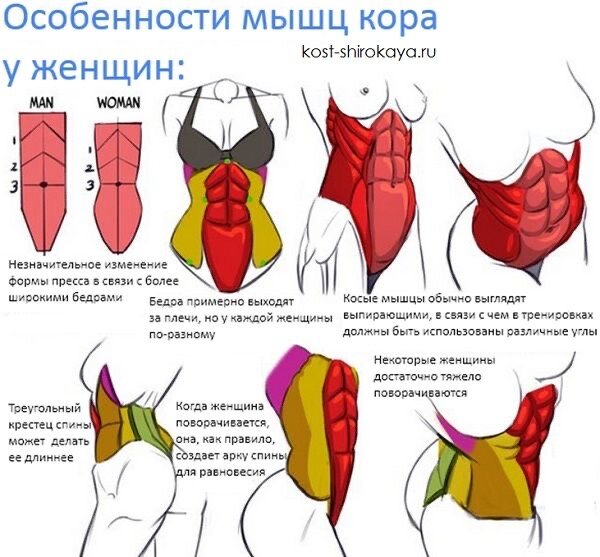 6 упражнений, которые сожгут жир на животе быстрее, чем что либо !