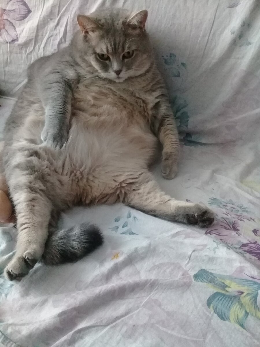Фото из личного архива.