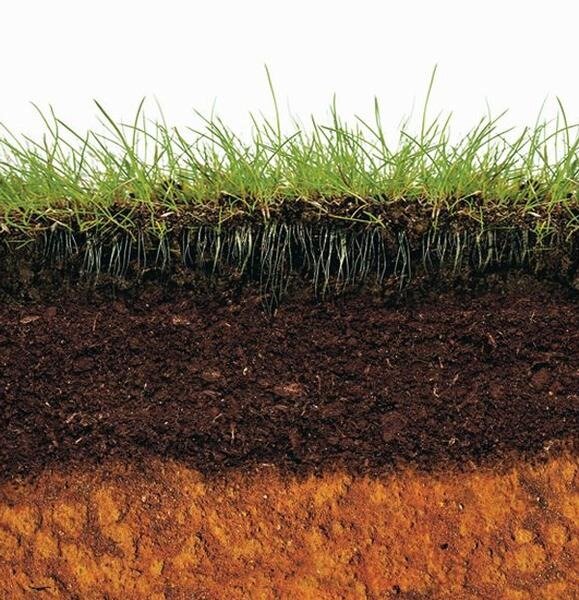 Гранулометрический состав почвы